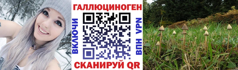 Галлюциногенные грибы MAGIC MUSHROOMS  сайты даркнета какой сайт  Таганрог 